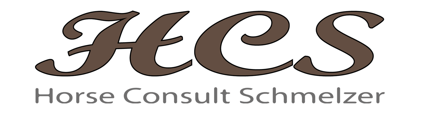 STAHL- METALLBAU MÜLLER - GEMÜNDEN / FELDA